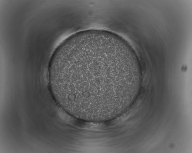 X0000101431271200808041143