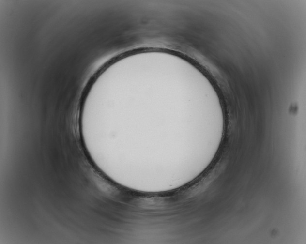 X0000101431272200808041143