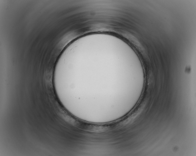 X0000101431273200808041143