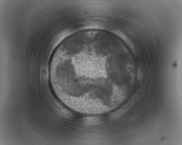 X0000101431274200808041143