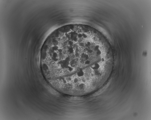 X0000101431275200808041143