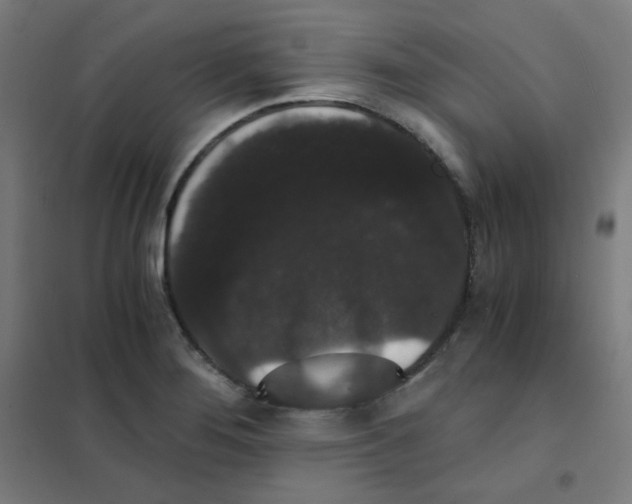 X0000101431276200808041143