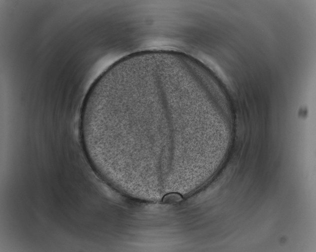 X0000101431277200808041143