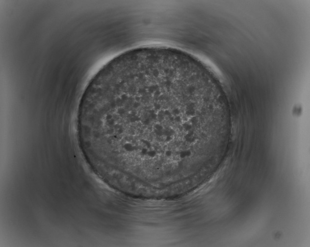 X0000101431279200808041143