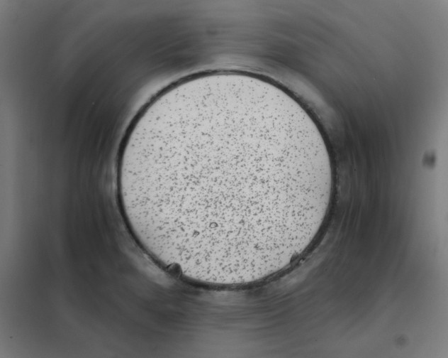 X0000101431280200808041143