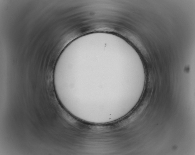 X0000101431281200808041143