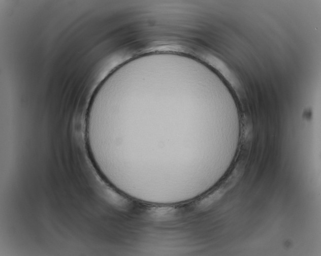 X0000101431282200808041143