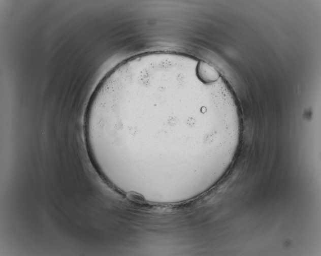 X0000101431283200808041143