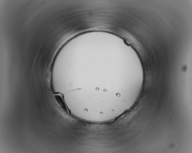 X0000101431284200808041143