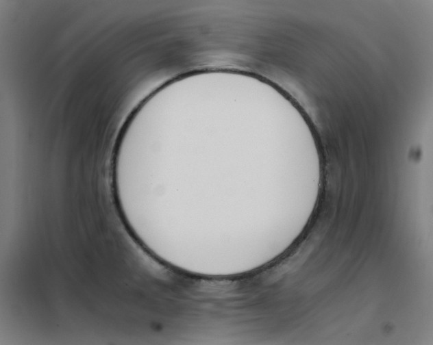 X0000101431285200808041143