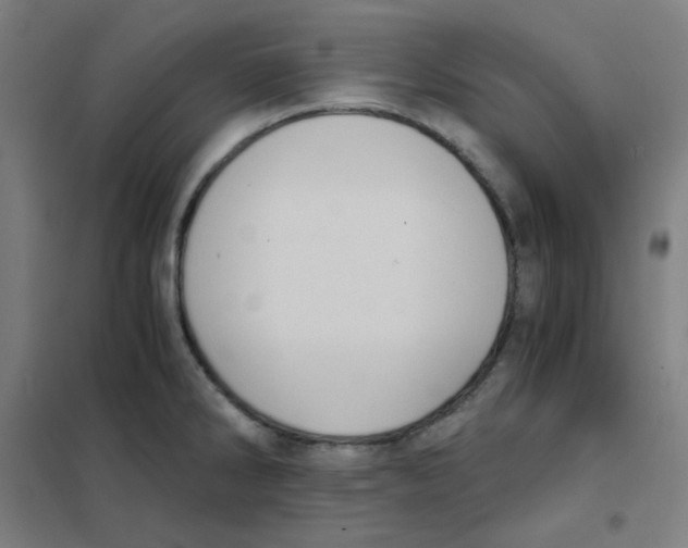 X0000101431286200808041143