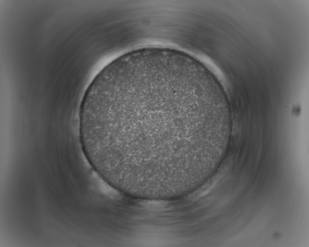 X0000101431287200808041143