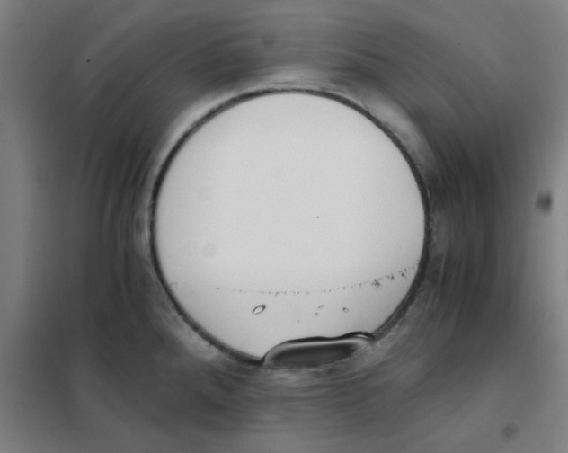 X0000101431288200808041143