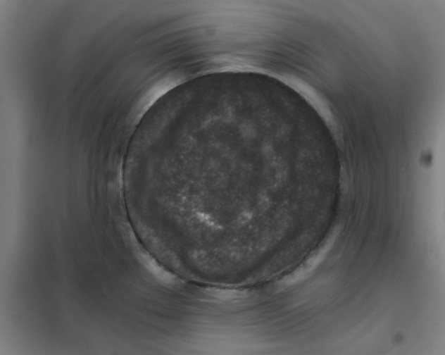 X0000101431289200808041143