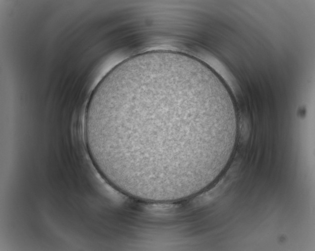 X0000101431290200808041143