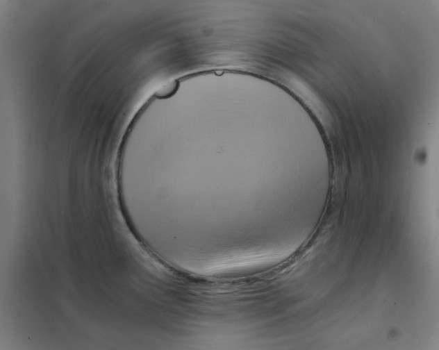 X0000101431291200808041143