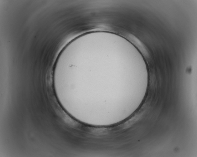 X0000101431292200808041143