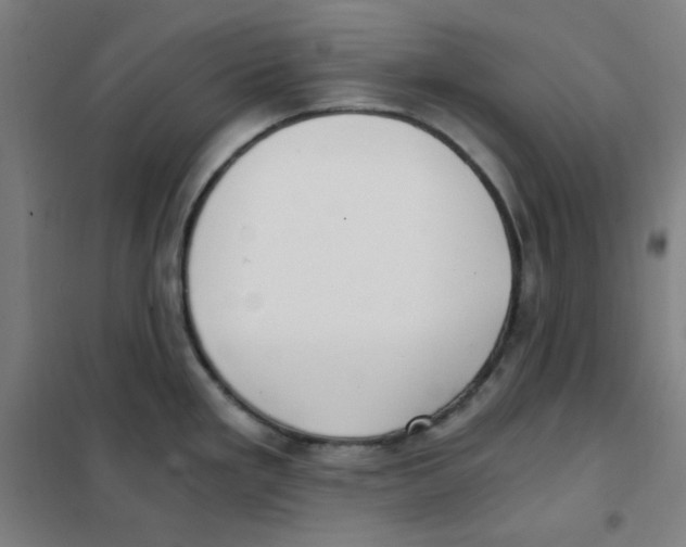 X0000101431293200808041143