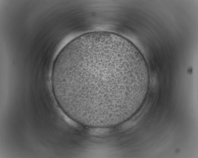 X0000101431294200808041143