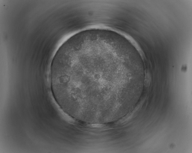 X0000101431295200808041143