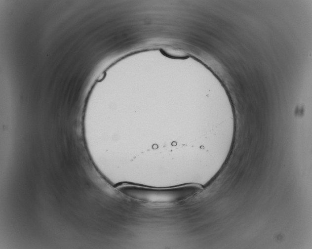 X0000101431296200808041143