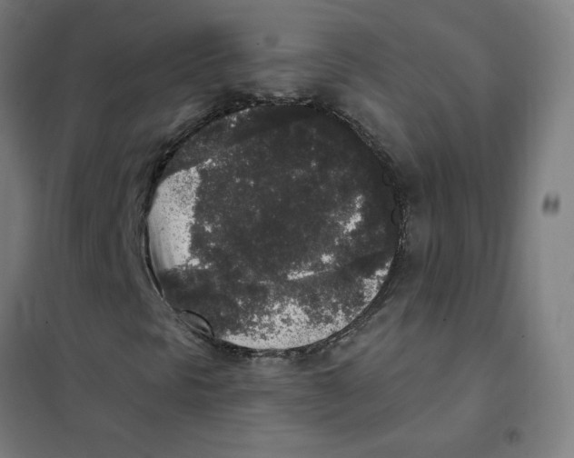 X0000101431297200808041142