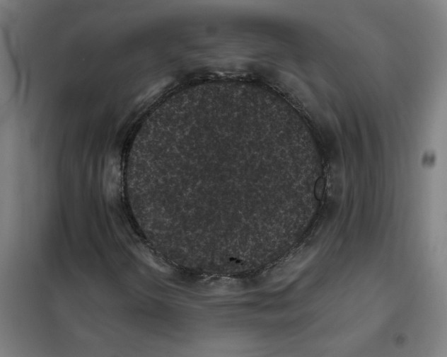 X0000101431298200808041142