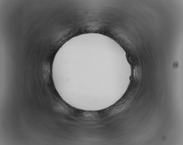 X0000101431299200808041142