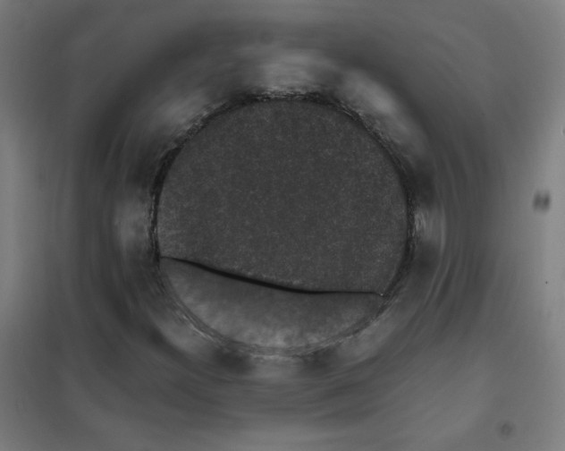 X0000101431300200808041142