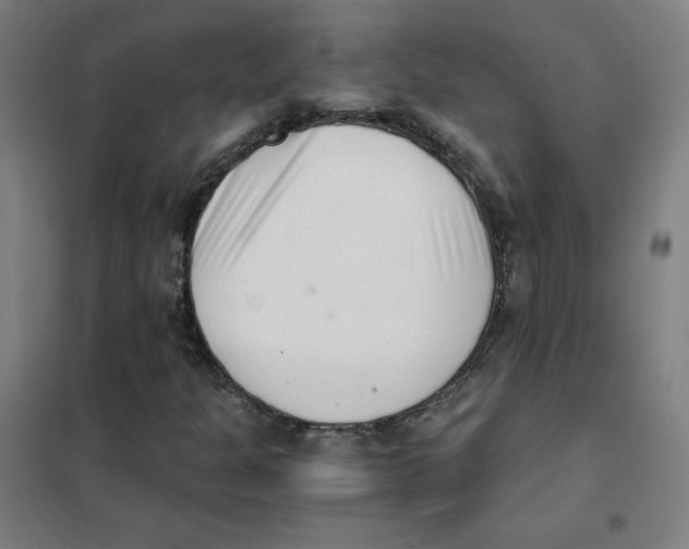 X0000101431301200808041142