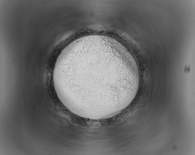 X0000101431302200808041142