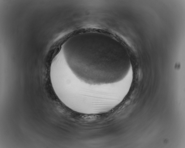 X0000101431303200808041142