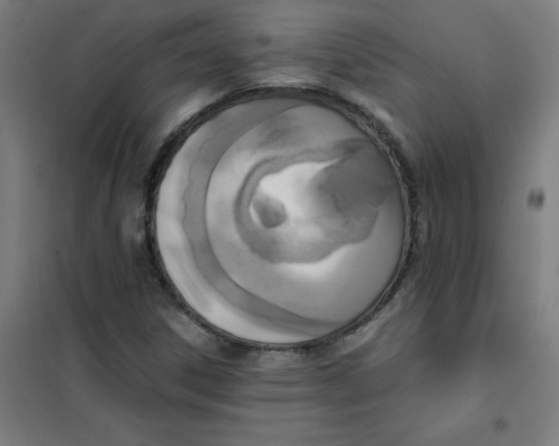 X0000101431306200808041142