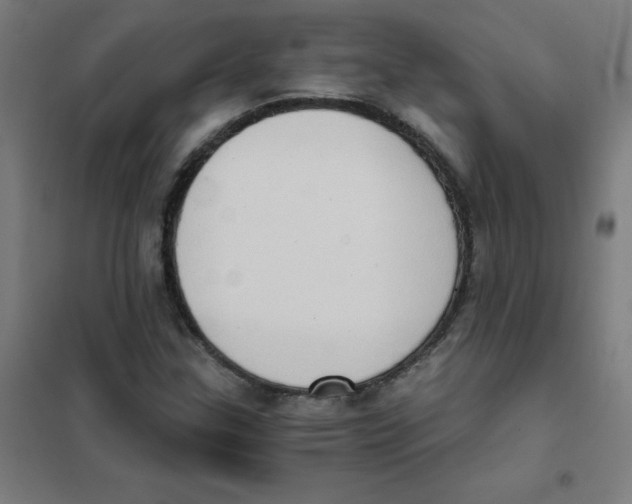 X0000101431307200808041142