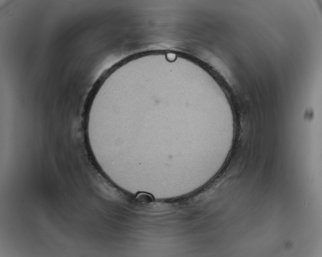 X0000101431308200808041142