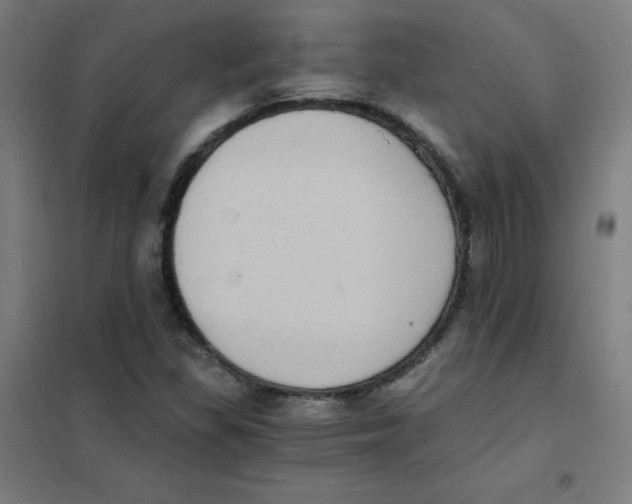 X0000101431309200808041142