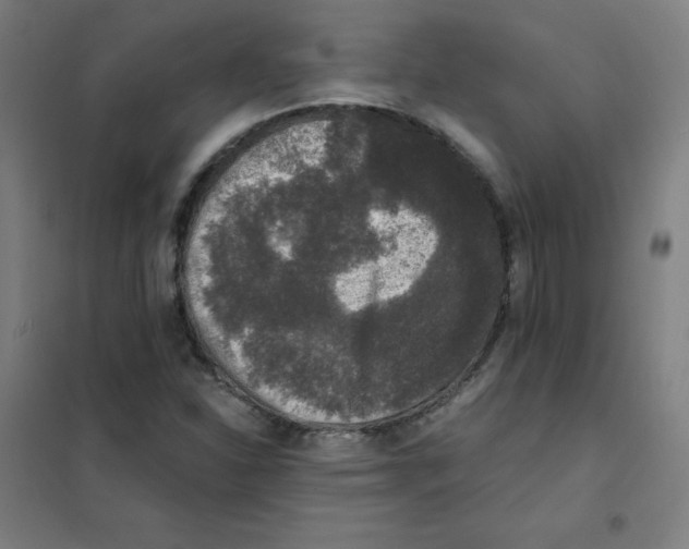 X0000101431310200808041142