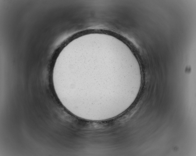 X0000101431311200808041142