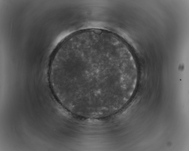 X0000101431312200808041142