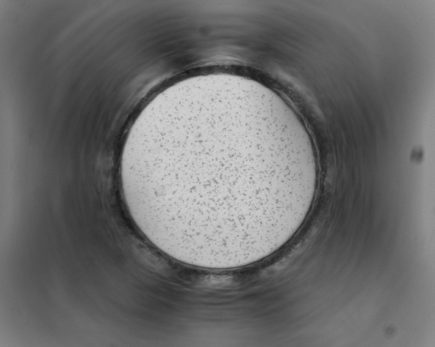 X0000101431313200808041142