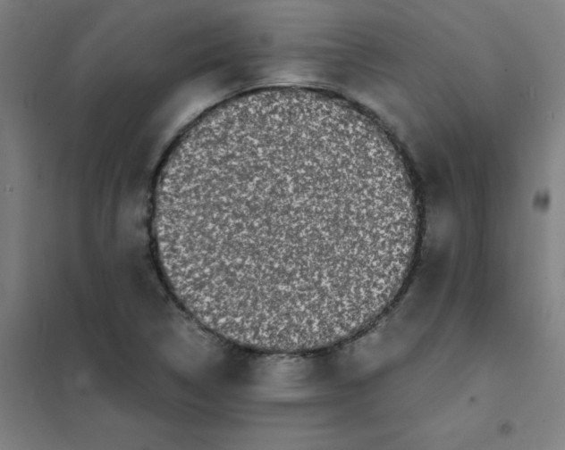 X0000101431314200808041142