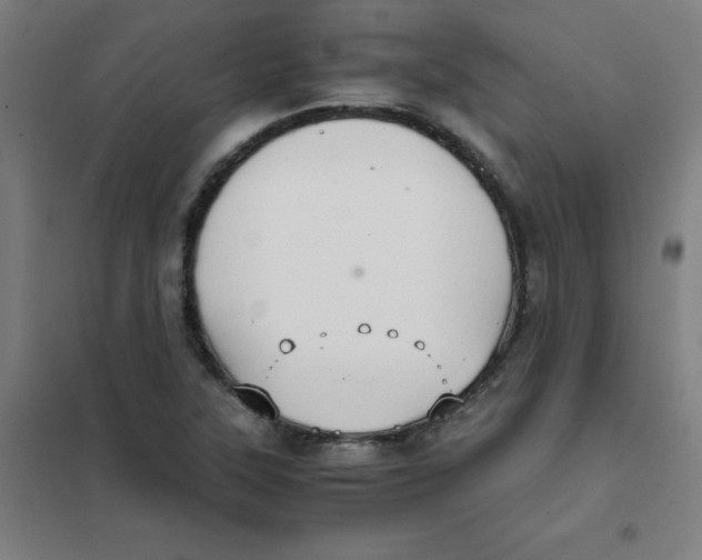 X0000101431315200808041142