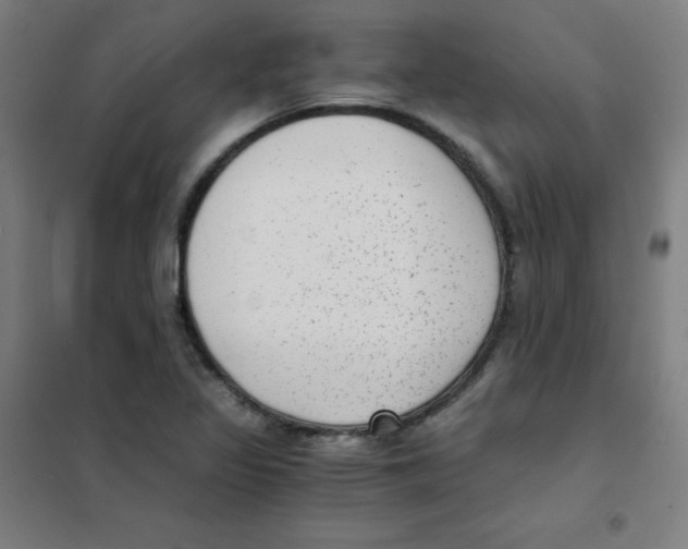 X0000101431317200808041142