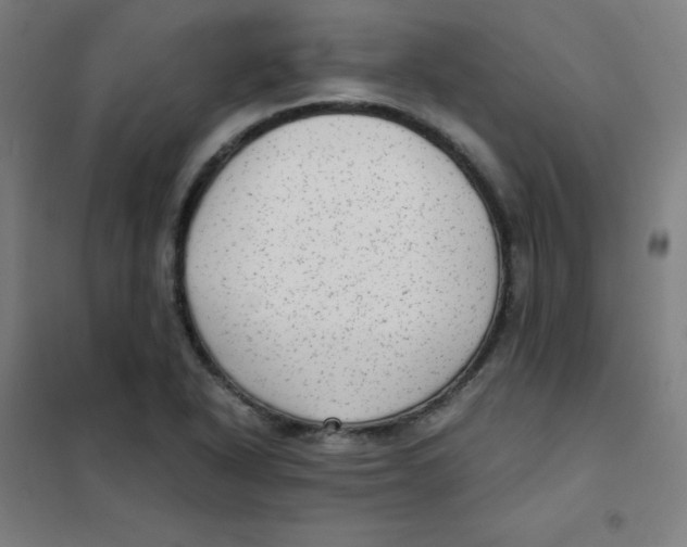 X0000101431318200808041142