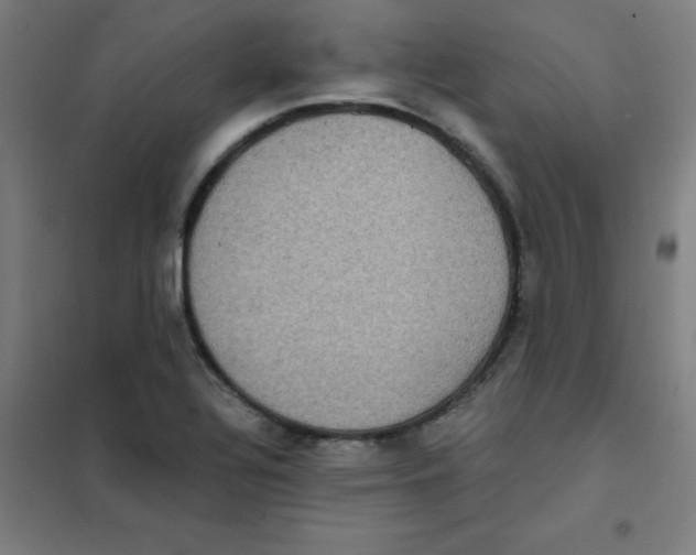 X0000101431320200808041142