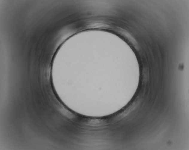 X0000101431322200808041142