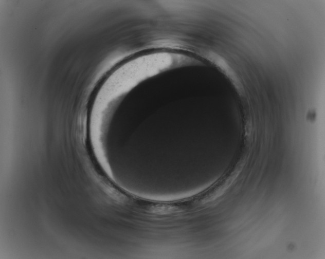 X0000101431323200808041142