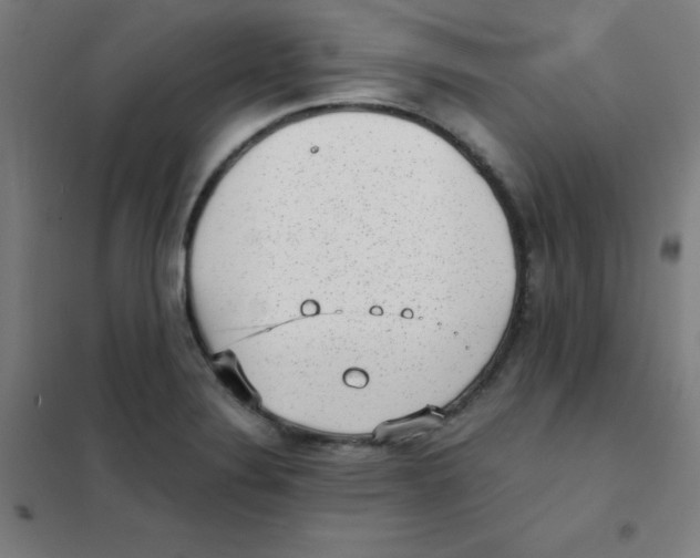 X0000101431324200808041142