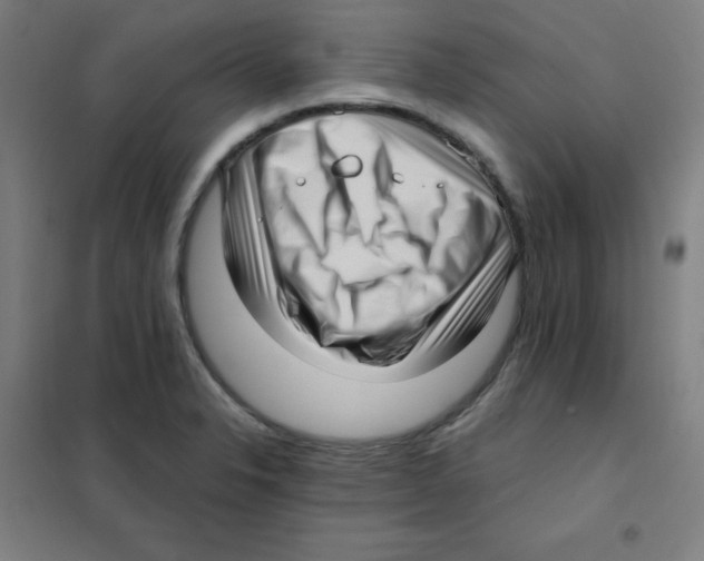 X0000101431326200808041143