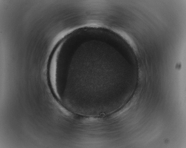 X0000101431327200808041143